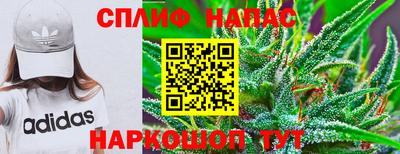 ALPHA-PVP Новозыбков