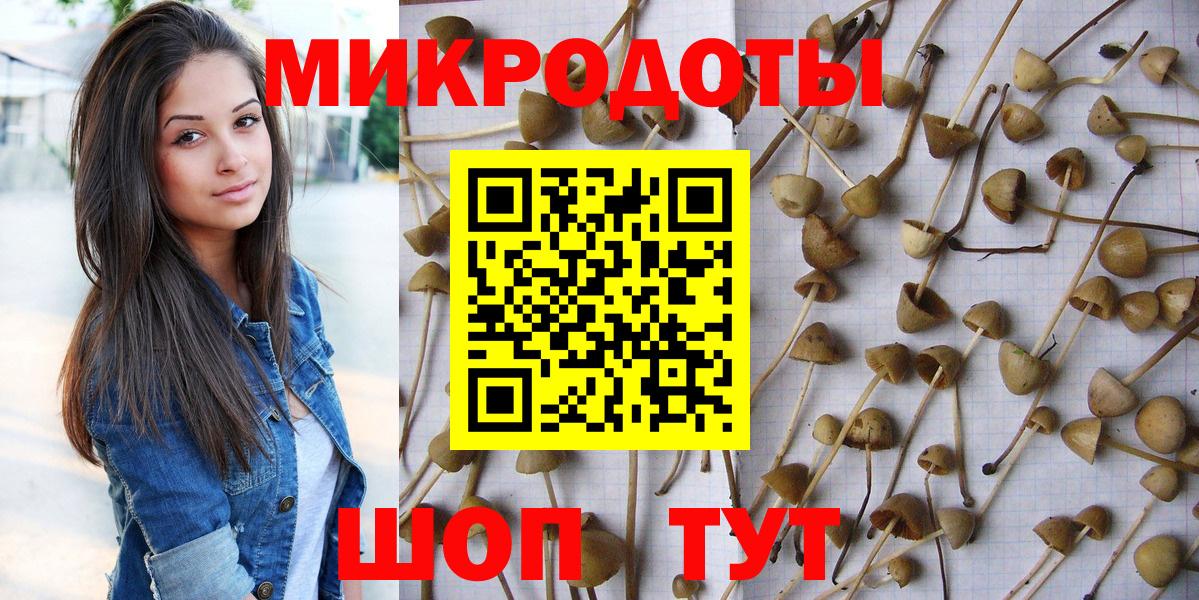 Псилоцибиновые грибы MAGIC MUSHROOMS Ростов Великий
