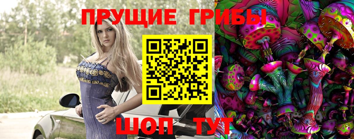 Ростов Великий  Галлюциногенные грибы Psilocybine cubensis  Вход с VPN 